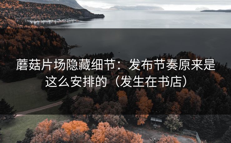 蘑菇片场隐藏细节:发布节奏原来是这么安排的(发生在书店)